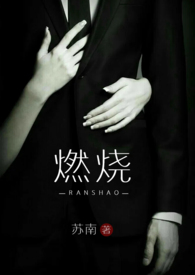 燃烧 (高干 高H）燃烧 (高干 高H）
